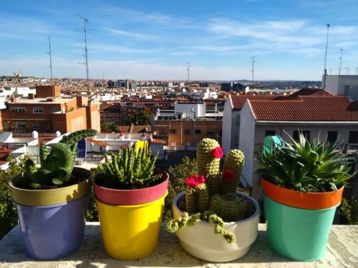 Ganchillo - amigurumi - cáctus en la terraza